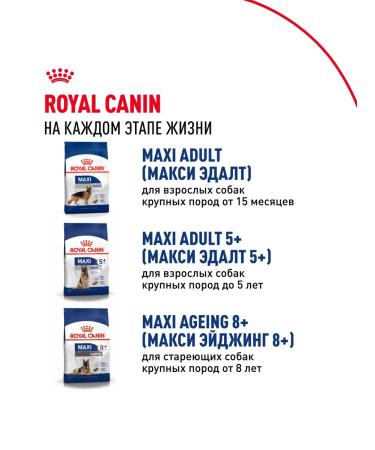 ROYAL CANIN Dry food Maxi Puppy for puppies of large breeds 3 kg x 2 pcs - Buy Online on GoSupps.com