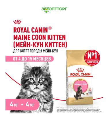 ROYAL CANIN Dry food Main Coon Kitten for kittens Maine-kun 4kg x 2pcs