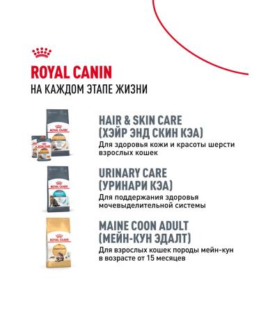 ROYAL CANIN Dry food Main Coon Kitten for kittens Maine-kun 4kg x 2pcs - Buy Online on GoSupps.com