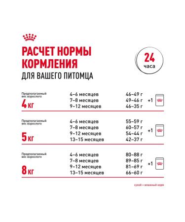 ROYAL CANIN Dry food Main Coon Kitten for kittens Maine-kun 4kg x 2pcs - Buy Online on GoSupps.com