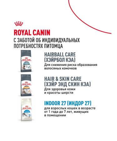 ROYAL CANIN Dry food Long Hair for long -haired cats 2 kg x 2 pcs - Buy Online on GoSupps.com