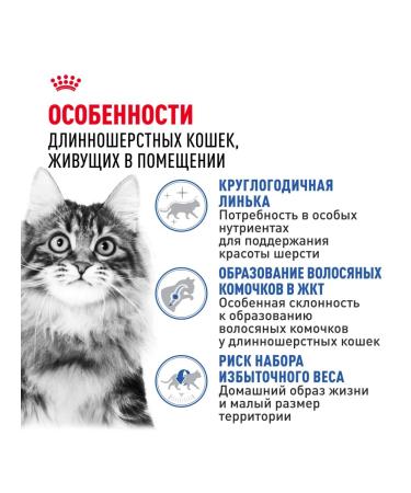 ROYAL CANIN Dry food Long Hair for long -haired cats 2 kg x 2 pcs - Buy Online on GoSupps.com