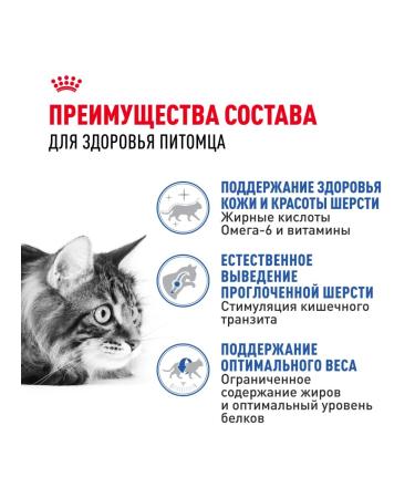 ROYAL CANIN Dry food Long Hair for long -haired cats 2 kg x 2 pcs - Buy Online on GoSupps.com