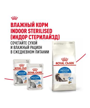 ROYAL CANIN Dry food Long Hair for long -haired cats 2 kg x 2 pcs - Buy Online on GoSupps.com