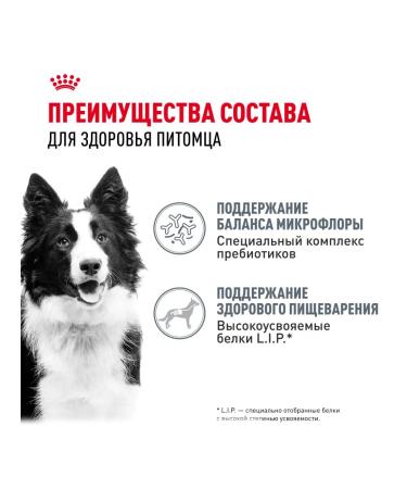 ROYAL CANIN DIGE DIGESTIVE CARE Dry Feed for Medium Dogs 3 kg x 2pcs - Buy Online on GoSupps.com