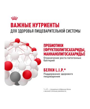 ROYAL CANIN DIGE DIGESTIVE CARE Dry Feed for Medium Dogs 3 kg x 2pcs - Buy Online on GoSupps.com