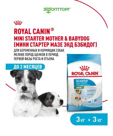 ROYAL CANIN Dry food mini Starter for puppies up to 2 months 3kg x 2pcs