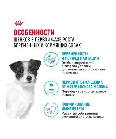 ROYAL CANIN Dry food mini Starter for puppies up to 2 months 3kg x 2pcs - Buy Online on GoSupps.com