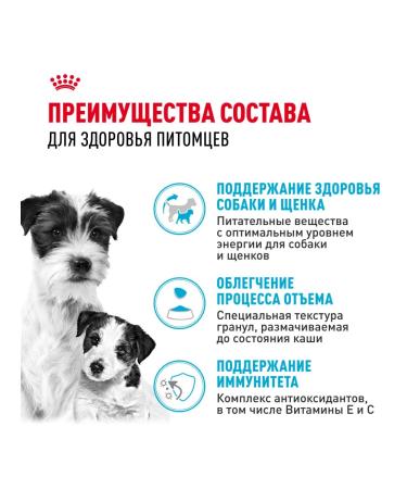 ROYAL CANIN Dry food mini Starter for puppies up to 2 months 3kg x 2pcs - Buy Online on GoSupps.com