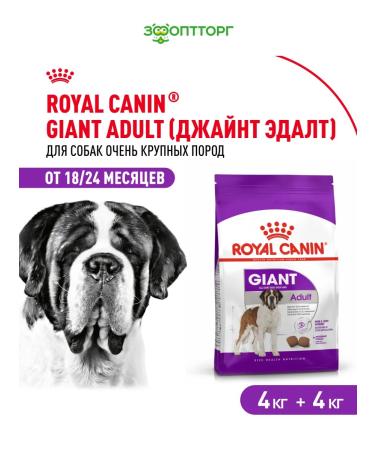 ROYAL CANIN Dry food for dogs of giant breeds 4 kg x 2 pcs