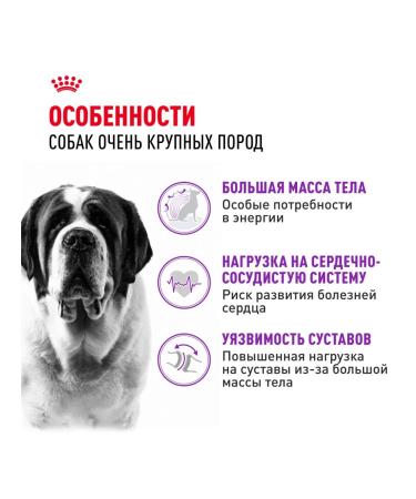 ROYAL CANIN Dry food for dogs of giant breeds 4 kg x 2 pcs - Buy Online on GoSupps.com