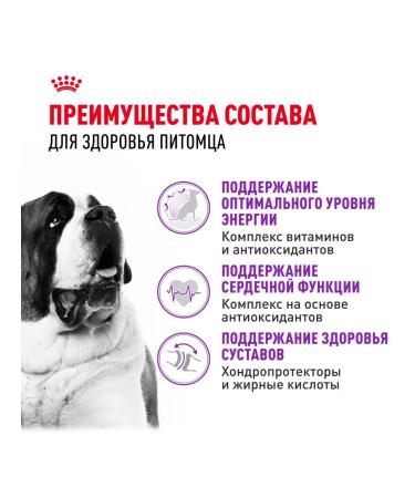 ROYAL CANIN Dry food for dogs of giant breeds 4 kg x 2 pcs - Buy Online on GoSupps.com