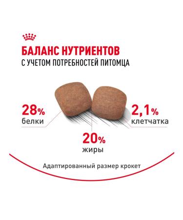 ROYAL CANIN Dry food for dogs of giant breeds 4 kg x 2 pcs - Buy Online on GoSupps.com