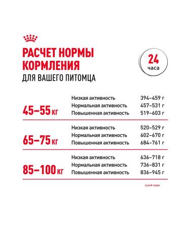 ROYAL CANIN Dry food for dogs of giant breeds 4 kg x 2 pcs - Buy Online on GoSupps.com