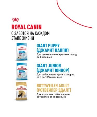 ROYAL CANIN Dry food for dogs of giant breeds 4 kg x 2 pcs - Buy Online on GoSupps.com