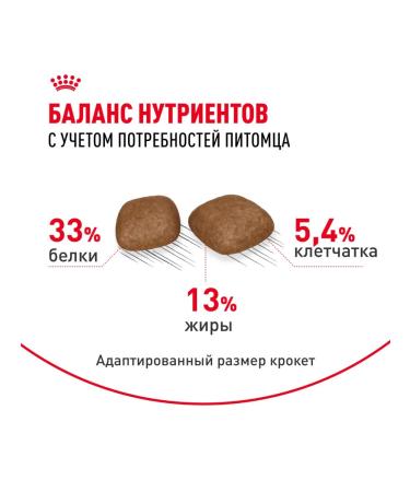 ROYAL CANIN Dry food Urinary Care for cats Prevention of ICD 4 kg x 2pcs - Buy Online on GoSupps.com