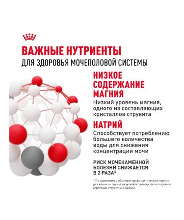 ROYAL CANIN Dry food Urinary Care for cats Prevention of ICD 4 kg x 2pcs - Buy Online on GoSupps.com