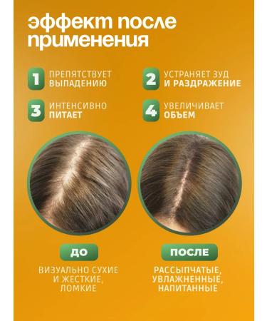 ANGELS FLY  - Buy Online on GoSupps.com