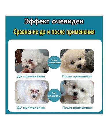 Bio drops eye drops for cats and dogs 20ml - Buy Online on GoSupps.com