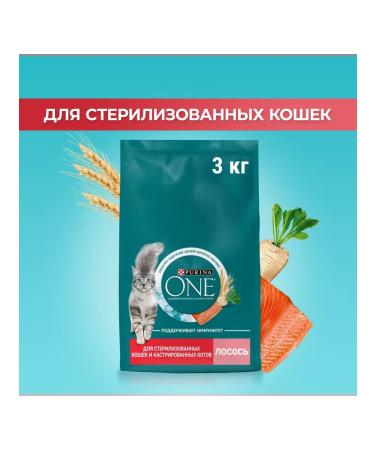 PURINA ONE Dry food for sterilized cats and cats salmon salmon - Buy Online on GoSupps.com