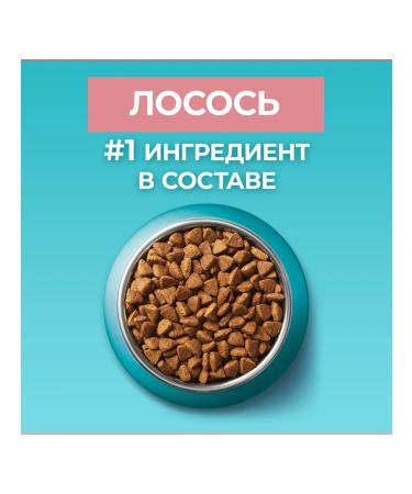 PURINA ONE Dry food for sterilized cats and cats salmon salmon - Buy Online on GoSupps.com