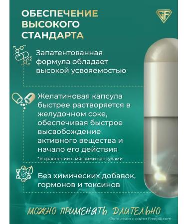 GraFLab Artichok Extract 550 mg 60 capsules - Buy Online on GoSupps.com