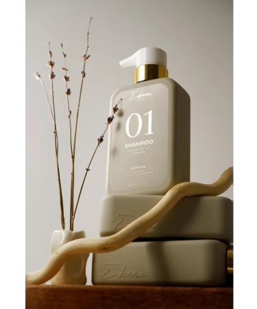 Ederra YOURLAB Set for oily hair with sulfate shampoo 300 ml - Buy Online on GoSupps.com