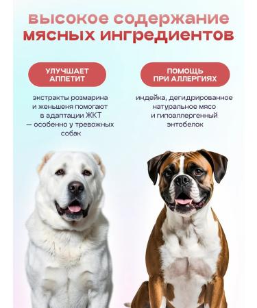 SPACEBAK Dog food is hypoallergenic with lamb and probiotic 8 kg - Buy Online on GoSupps.com