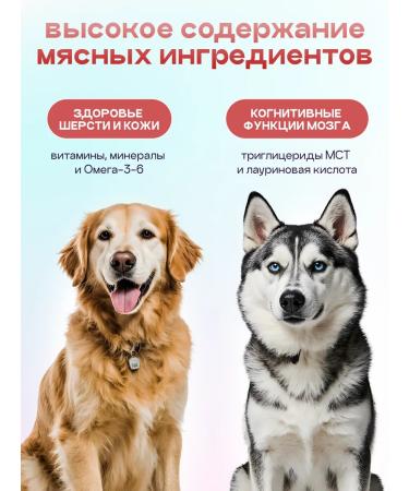 SPACEBAK Dog food is hypoallergenic with lamb and probiotic 8 kg - Buy Online on GoSupps.com