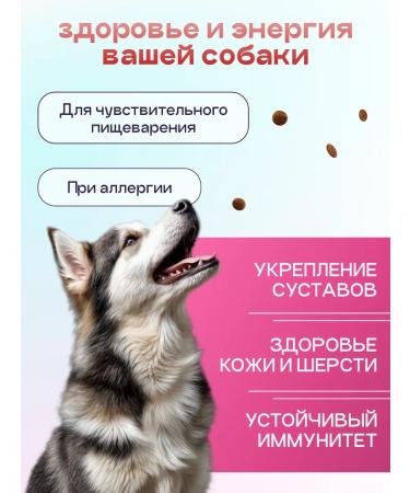 SPACEBAK Dog food is hypoallergenic with lamb and probiotic 8 kg - Buy Online on GoSupps.com