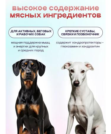 SPACEBAK Dog food is hypoallergenic with lamb and probiotic 8 kg - Buy Online on GoSupps.com