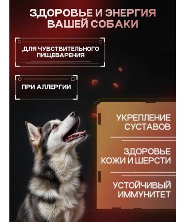 cosmodog Dog food hypoallergenic with a probiotic lamb 5 kg - Buy Online on GoSupps.com