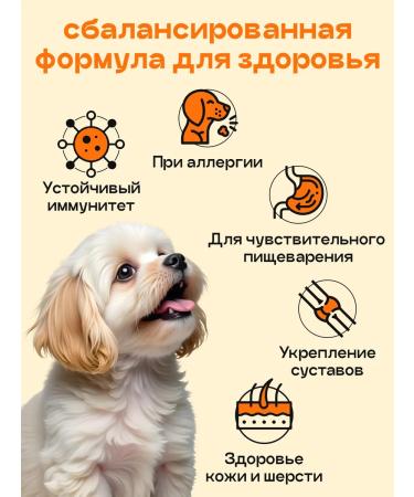 SPACEBAK Dry feed 0.8 kg for small breeds with turkey - Buy Online on GoSupps.com