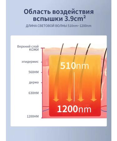 Bikini zone for a photoepier T14 - Buy Online on GoSupps.com