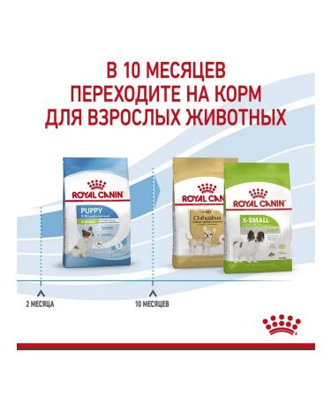 ROYAL CANIN Dry food for small puppies X-Small Puppy 500 g - Buy Online on GoSupps.com