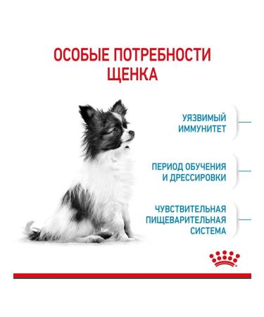 ROYAL CANIN Dry food for small puppies X-Small Puppy 500 g - Buy Online on GoSupps.com