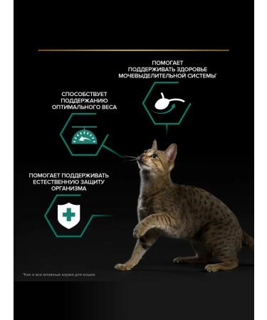 PRO PLAN Nutrisavour Sterilated spider set for cats 85 g x 80 pcs - Buy Online on GoSupps.com