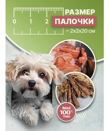 SHEPHERD TM Lamb light treat for encouraging 100 g of sticks - Buy Online on GoSupps.com