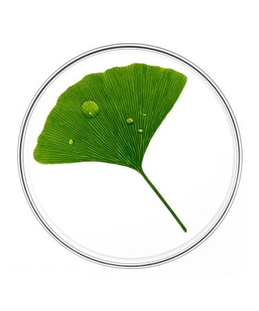 Phyto Set from hair loss serum + shampoo 100 ml - Buy Online on GoSupps.com