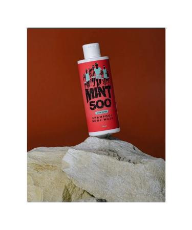 Mint500 Shampoo and shower gel Active Edition Japanese Mint - 250 - Buy Online on GoSupps.com