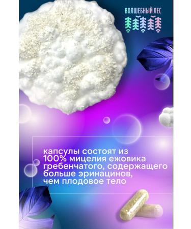 Ezhovik Chanbone 120 capsules and soy lecithin 150 g - Buy Online on GoSupps.com