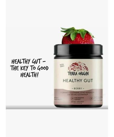 Terra Origin Healthy Gut Healthy GUT for stomach and intestines Terra Origin - Buy Online on GoSupps.com