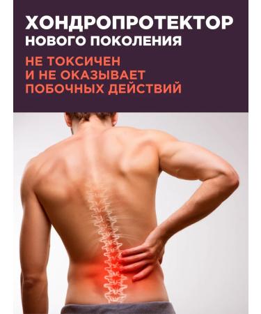 PROTEINCOMPANY MSM for joints and ligaments of chondroprotectors - Buy Online on GoSupps.com