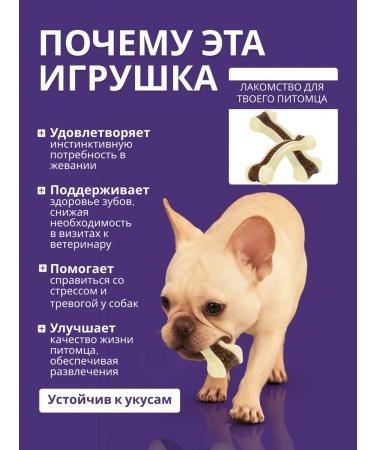 Toys for Furry Friends Chewing dog toy Bone broth for teeth - Buy Online on GoSupps.com