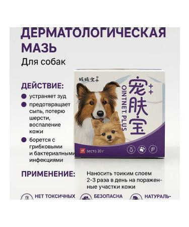 TASH Dermatological dog ointment