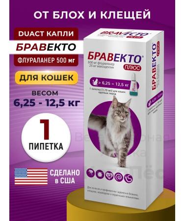 bravecto Drops for cats DAM 500 mg 6.25-12.5 kg (03.2026)