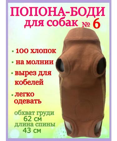 Dirgibor Popona-Bodi postoperative No. 6