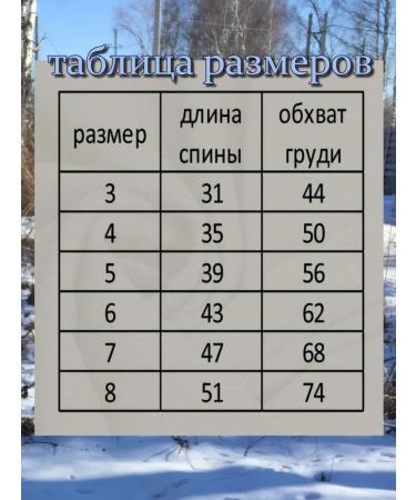 Dirgibor Popona-Bodi postoperative No. 6 - Buy Online on GoSupps.com