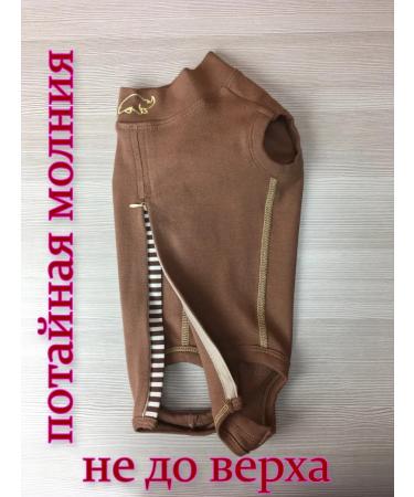 Dirgibor Popona-Bodi postoperative No. 6 - Buy Online on GoSupps.com