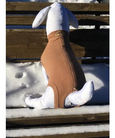 Dirgibor Popona-Bodi postoperative No. 6 - Buy Online on GoSupps.com